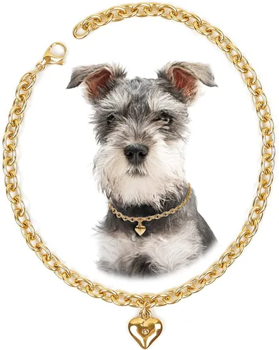 Vista 15 de HOWWFALY Collar para Perro y Cadena Collar para Gato de Acero Inoxidable Ajustable Collar en Forma de Corazón de Oro 18K para Mascotas Pequeñas