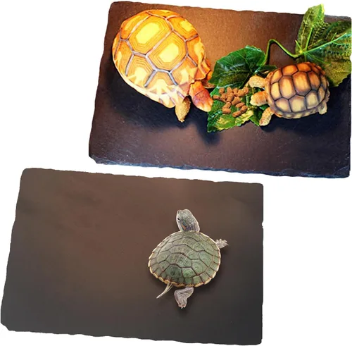 Vista 11 de Tfwadmx Plataforma para tomar el sol de reptiles, plato de alimentación de tortuga, cuenco de comida de reptiles de roca natural, decoración