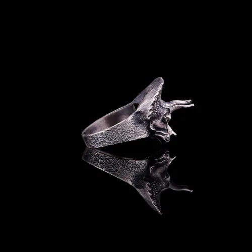 Vista 4 de Triceratops Ring, Dinosaur Ring Sterling Silver, Torosaurus Ring, Jurassic Ring, Dinosaur Head Ring, Artisan Gift