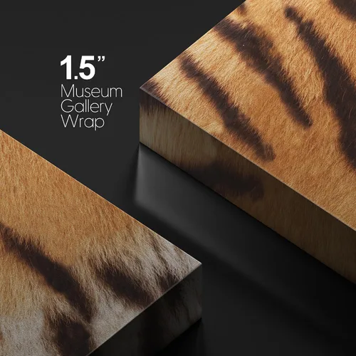 Vista 5 de wall26 - Impresiones en lienzo para pared - Lienzo impreso para pared - Piel de tigre/textura de piel - 12 x 12 pulgadas