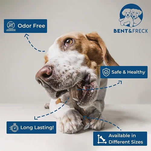 Vista 2 de Cuerno masticable para perros de Pet Expertise, XL de 8 a 10 pulgadas de largo, 1 pieza