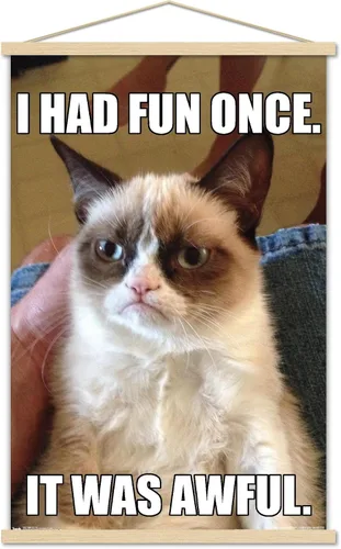 Vista 16 de Trends International Grumpy Cat - Póster de pared divertido, 22.375 x 34 pulgadas, versión enmarcada plateada Versión con marco plateado