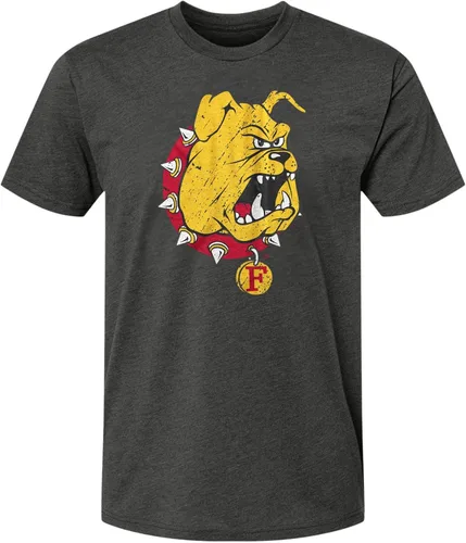 Vista 12 de Camisetas universitarias prémium de mezcla de algodón y poliéster NCAA