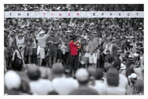 Vista 13 de Trends International Tiger Woods - Póster de pared con efecto tigre, 14.725 x 22.375 pulgadas, versión enmarcada de madera de granero Versión