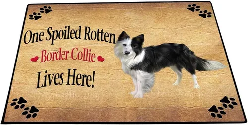 Vista 15 de Doggie of the Day Border Collie Dogs Floor Mat - 4th of July Independence Day - Best Dog Doormat - Protector Decor - Unique Portrait Art - Premium