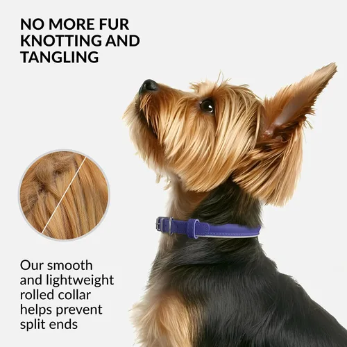 Vista 2 de CollarDirect - Collar de cuero enrollado para perro, collar redondo acolchado suave para cachorro, collar de cuero auténtico hecho a mano