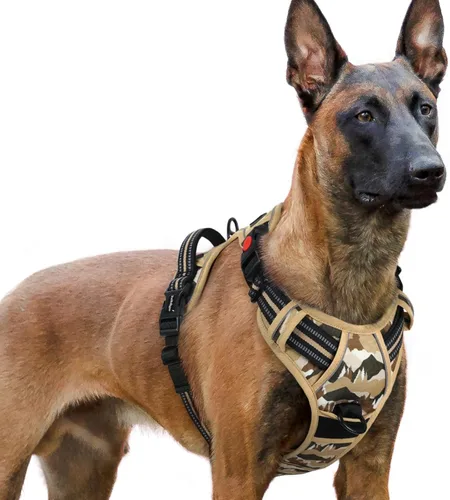 Vista 76 de Rabbitgoo - Arnés para perro de tamaño pequeño, arnés para mascotas sin tirones con 3 hebillas, chaleco acolchado suave ajustable con mango