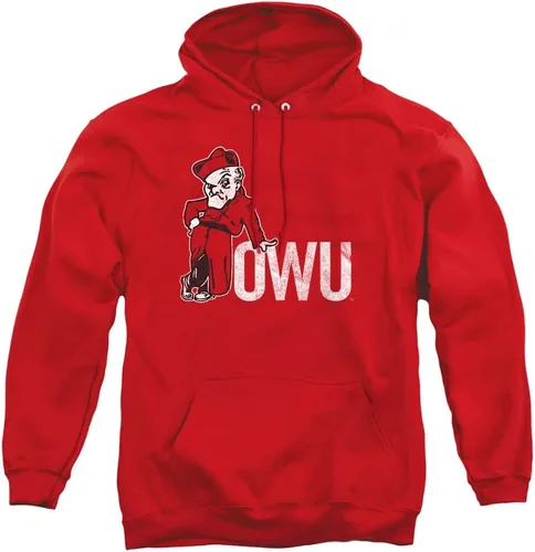 Vista 142 de Distressed College Primary Logo Adult Pullover Hoodie Collection 1 Universidad Estatal de Albany