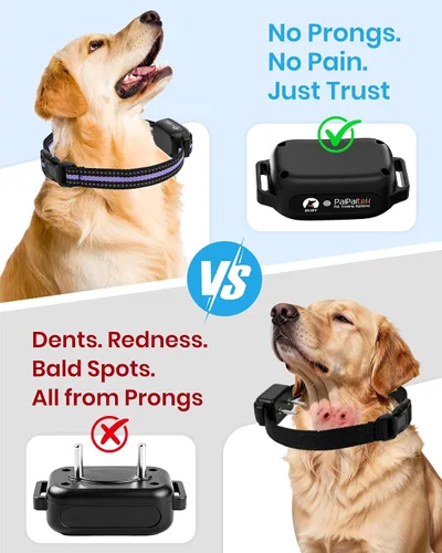 Vista 2 de Collar de entrenamiento para perros sin golpes con control remoto