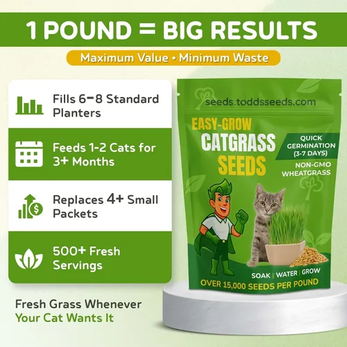 Vista 2 de Todd's Seeds – Hierba para gatos de interior o exterior, 1 libra de hierba de trigo – Premium, 100% libre de químicos (mejor que orgánico) sin GMO