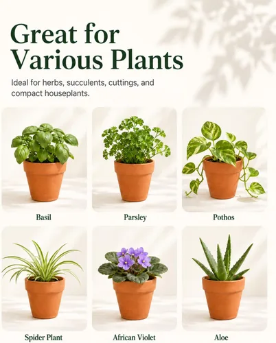 Vista 6 de Macetas de terracota y arcilla de 4 pulgadas para plantas, paquete