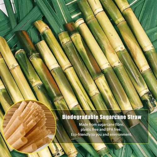 Vista 2 de Pajitas de cóctel cortas biodegradables de 5 pulgadas, 200 pajitas de cóctel compostables, hechas de 100% fibra de caña de azúcar, popotes