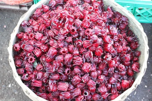 Vista 2 de 10 semillas de acedera jamaicana, también conocido como arándano de Florida, rosela india, hibisco sabdariffa