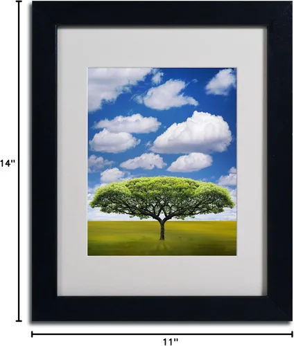 Vista 5 de Marca Fine Art improbable Espacio Abierto por Philippe Sainte-Laudy Canvas Wall Art