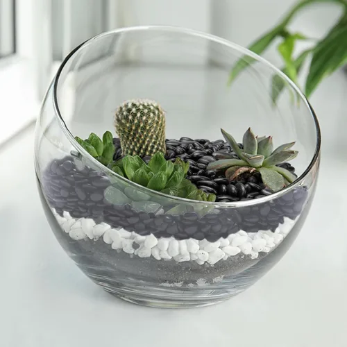 Vista 6 de Pulovin Piedras negras de 2.5 libras para plantas de interior, suculentas, bambú, jarrón, rocas para plantas de 3/8 pulgadas para macetas de Negro