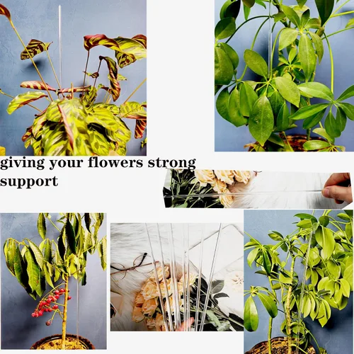 Vista 6 de 30 estacas acrílicas de 18 pulgadas para plantas de jardín, estacas transparentes para orquídeas, palos transparentes para plantas en maceta