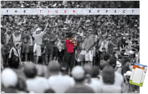Vista 12 de Trends International Tiger Woods - Póster de pared con efecto tigre, 14.725 x 22.375 pulgadas, versión enmarcada de madera de granero Versión