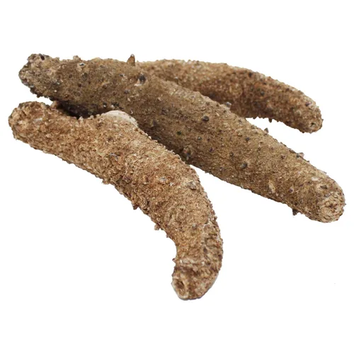 Vista 2 de DOL Wild Alaska Red Sea Pepino 9-12pcs 7-9 años 9-12 (pepino de mar seco)- en caja grande 8oz/caja Caja Grande-8 onzas
