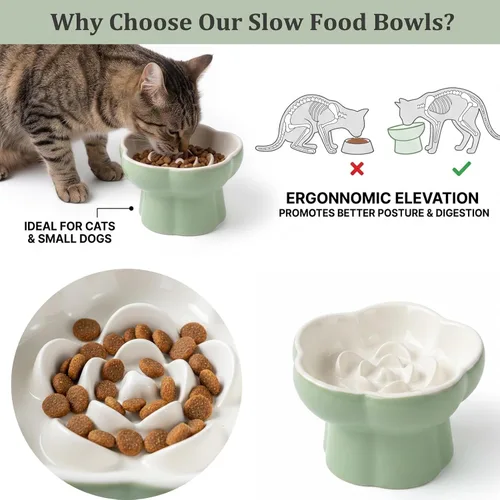 Vista 3 de Cuenco elevado de cerámica para gatos con alimentación lenta, plato