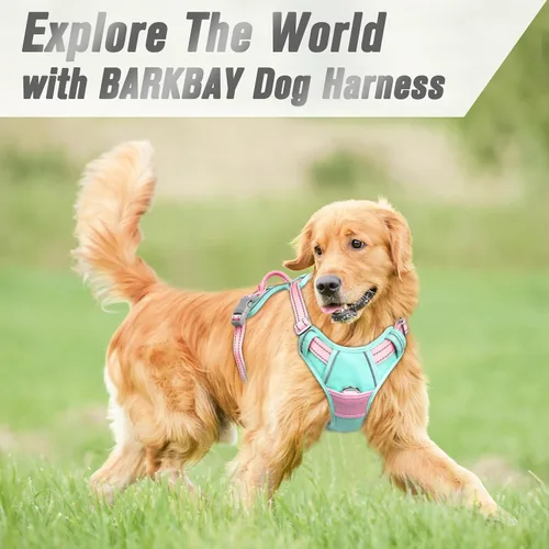 Vista 32 de BARKBAY - Arnés para perro sin tirones con clip frontal, material resistente y reflectante, asa de fácil control para pasear perros grandes