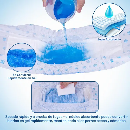 Vista 4 de Pañales Pet Soft para perro, desechables, para perros macho, xs