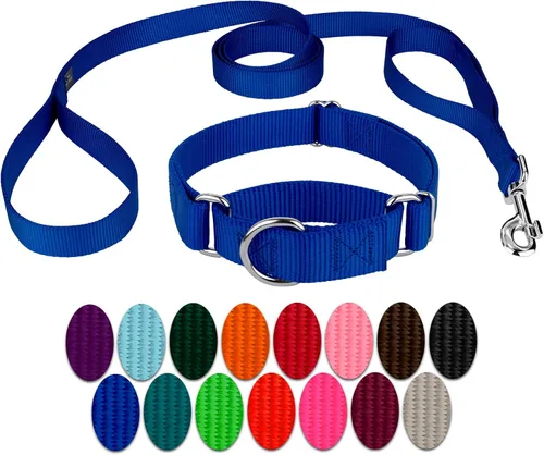 Vista 20 de Country Brook Design - Collar de perro de nailon Martingale y correa de doble asa-Negro-S