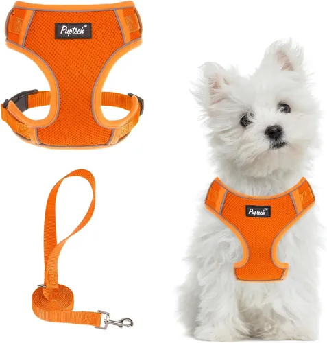 Vista 27 de PUPTECK Juego de arnés y correa para perro pequeño, arnés ajustable sin tirones para cachorro, chaleco de malla suave reflectante para mascotas
