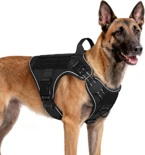 Vista 39 de rabbitgoo - Arnés táctico para perros pequeños, arnés resistente para mascotas con asa, chaleco de servicio sin tirones para razas pequeñas, chaleco