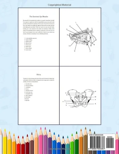 Vista 2 de Human Anatomy Coloring Book An Entertaining and Instructive Guide to the Human Anatomy and Physiology with Over 40 Illustrations