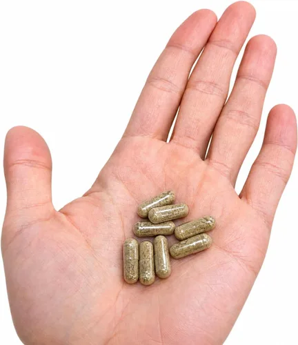 Vista 8 de The Root Suplemento original coreano rojo panax ginseng – 100% polvo de raíz fina entera con fibra natural y minerales – Resistencia sin cafeína