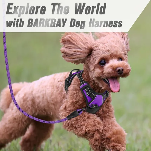 Vista 195 de BARKBAY - Arnés para perro sin tirones con clip frontal, material resistente y reflectante, asa de fácil control para pasear perros grandes
