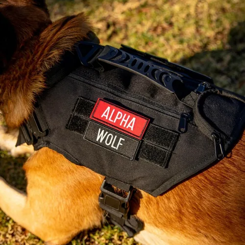 Vista 3 de Arnés táctico para perro (negro alfa, mediano)