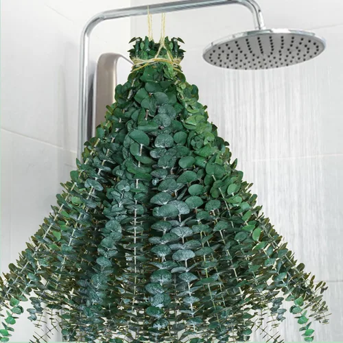 Vista 9 de 10 tallos de eucalipto secos para ducha de 17 pulgadas, tallos de eucalipto colgantes naturales reales, ramas de hojas frescas reales para relleno
