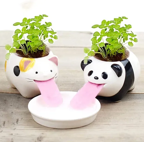 Vista 5 de Mini macetas de riego automático para suculentas, 1 paquete de maceta de cerámica animal con lengüeta y orificio de drenaje, maceta creativa
