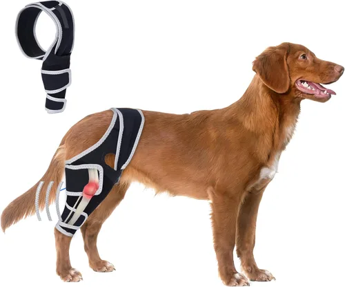 Vista 8 de Rodillera para perros con ACL desgarrado, soportes ajustables para patas de perro, soporte de soporte para patas traseras o delanteras, soporte