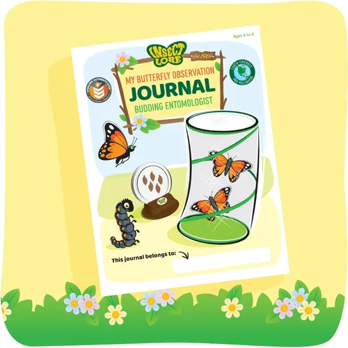 Vista 4 de Jardín Insect Lore para mariposas vivas, NA
