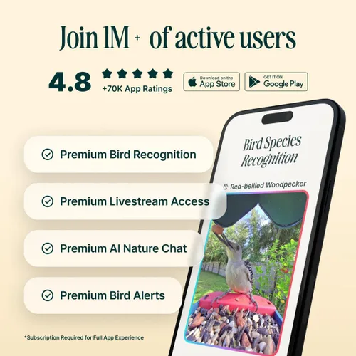 Vista 5 de Birdbuddy PRO Comedero Inteligente para Aves sin Energía Solar con Cámara - Identificación de Especies de Aves por IA, Fotos de 5MP, Cámara