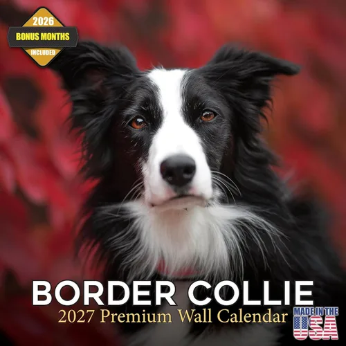 Vista 162 de Calendario de Lebrel Afgano 2025 2026, calendario mensual de pared de raza canina, 12" x 18" abierto, papel grueso sin traspaso, ideal para regalo