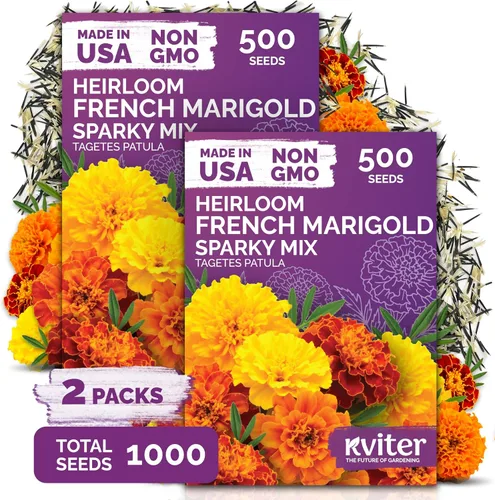 Vista 6 de KVITER Mezcla de 100 semillas de calabaza pequeñas (Cucurbita Pepo), paquete de 2 – Calabazas ornamentales de otoño, sin OGM – Semillas de reliquia
