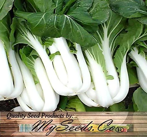 Vista 4 de Paquete grande - Semillas sin transgénicos de MySeeds.Co