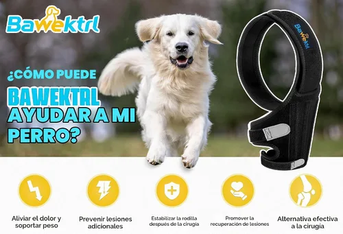 Vista 4 de Rodillera para Perro para Pata Trasera, Rodillera para Cuidado del Ligamento Cruzado para Perros, Soporte Extra ACL, Reduce el Dolor Articular