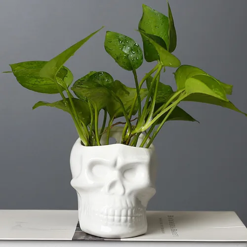 Vista 3 de GANAZONO Maceta con forma de calavera para pared, jarrón suculento, maceta única para Halloween, hogar, bar, decoración de escritorio