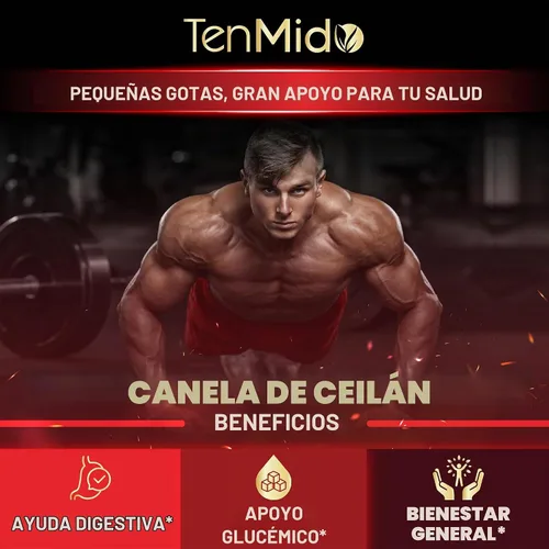 Vista 4 de Gotas líquidas de extracto de canela de Ceilán, 7 en 1 con cúrcuma, berberina HCl, jengibre, vinagre de sidra de manzana, diente de león y pimienta