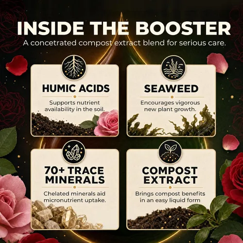 Vista 4 de Great Big Roses and Flowers - Potenciador de fertilizante líquido de rosas y flores, 70 minerales, extracto de compost, activador de suelo de jardín
