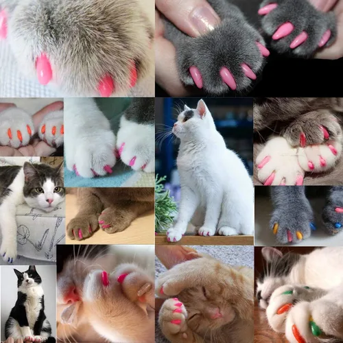 Vista 2 de VICTHY 140 tapas de uñas de gato (14 colores), cubiertas de garra de gato, cubiertas de uñas de gato con adhesivos y aplicadores (extra pequeño)