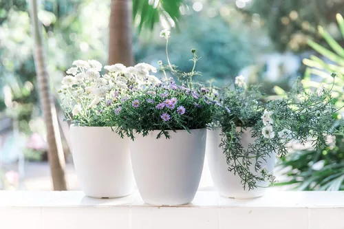 Vista 6 de GARDENIX DECOR Macetas de Riego Automático para Plantas de Interior, Pack de 3 - Maceta con Indicador de Nivel de Agua para Plantas, Herramienta
