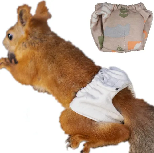 Vista 9 de Pañales reutilizables lavables de ardilla, altamente absorbentes, con pantalones fuertes y flexibles, sin fugas, pañales reutilizables para orina