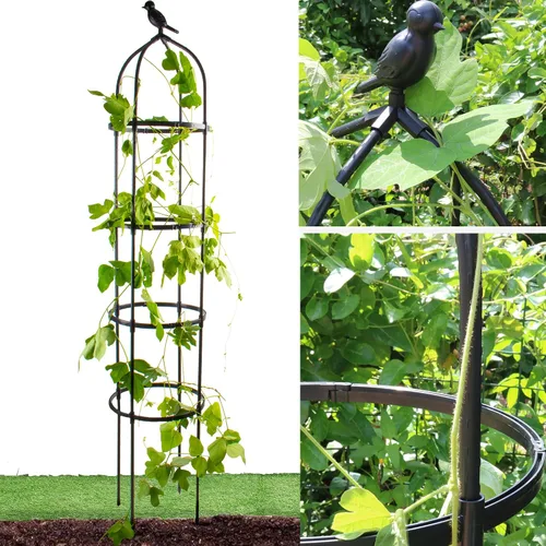 Vista 9 de Enrejado de jardín para plantas trepadoras, tubo de metal inoxidable con soporte resistente de 6 pies, soporte para plantas en maceta para jardín