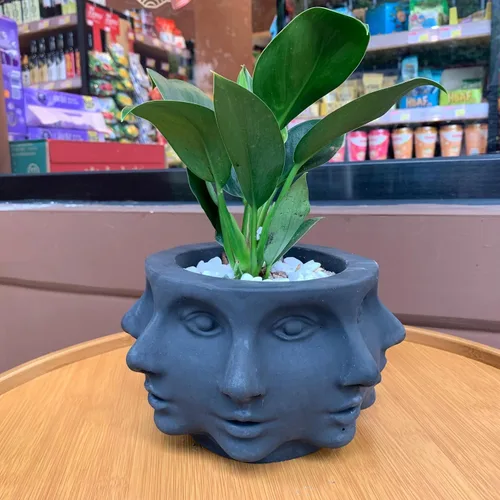 Vista 3 de Molde de silicona para plantador de cara de cabeza, multicara, molde de maceta de 8 pulgadas Interior/exterior, con forma de múltiples caras