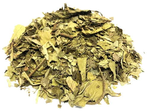 Vista 5 de Matico Tea Herbal - Hierba Matico Value Pack (3.17 oz) Piper aduncum Hierba 100% Natural Té sin cafeína
